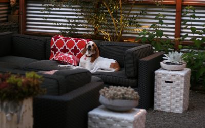 Garden design help just in time with Design Your Eden!