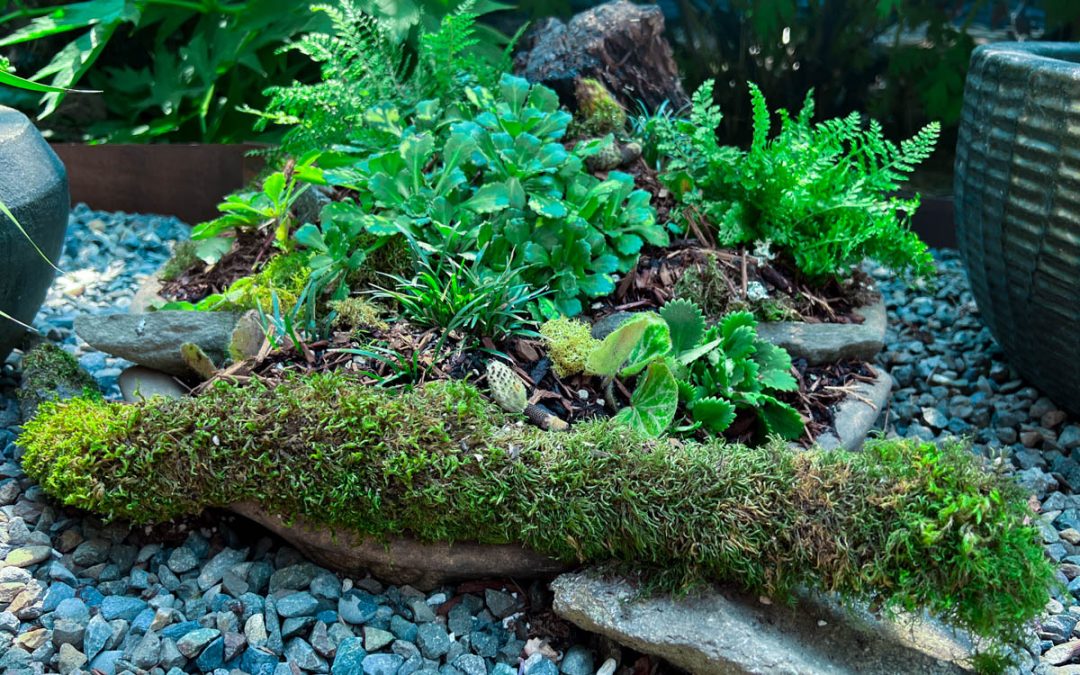 Upcycled birdbath converted to a planter with year-round interest